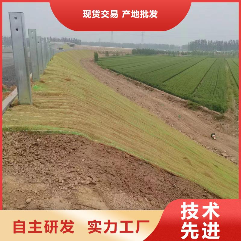 抗冲植生毯厂家直销供货稳定