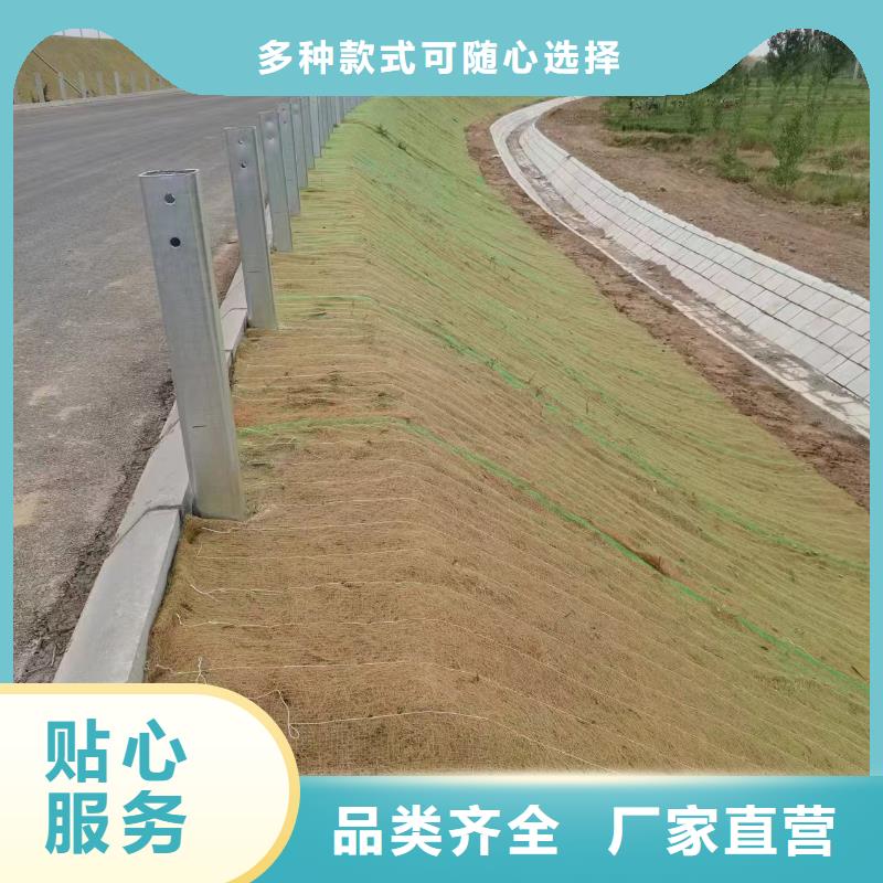 抗冲植生毯工厂