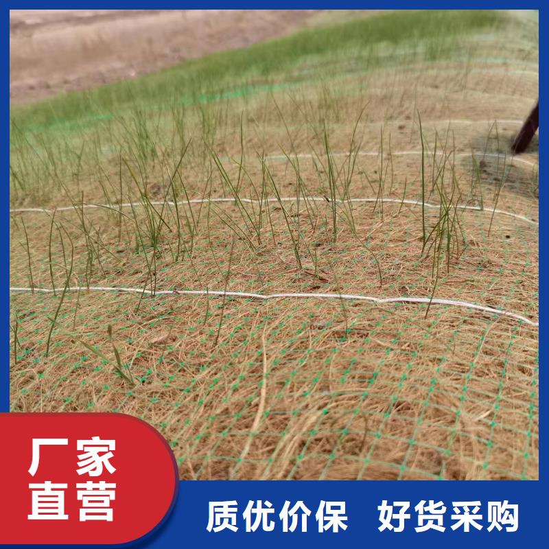 鑫海麻网植物纤维毯厂诚信经营合作共赢