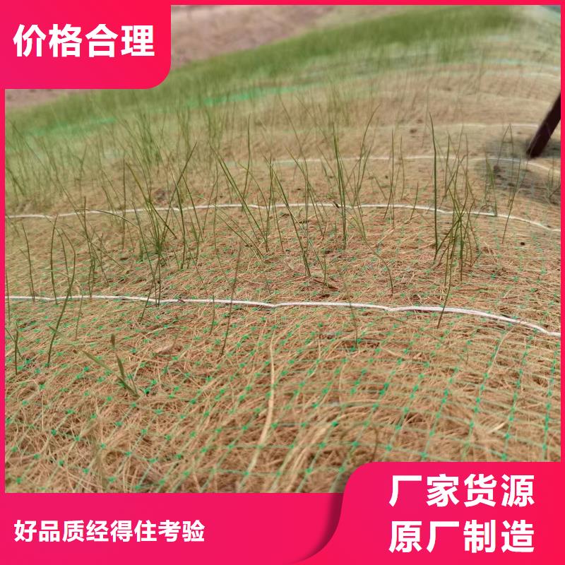 河道治理绿化防护毯厂家直销供货稳定