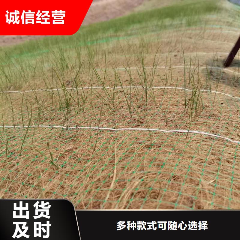 鑫海山体护坡抗冲生物毯精品选购海量现货可降解绿化护坡毯