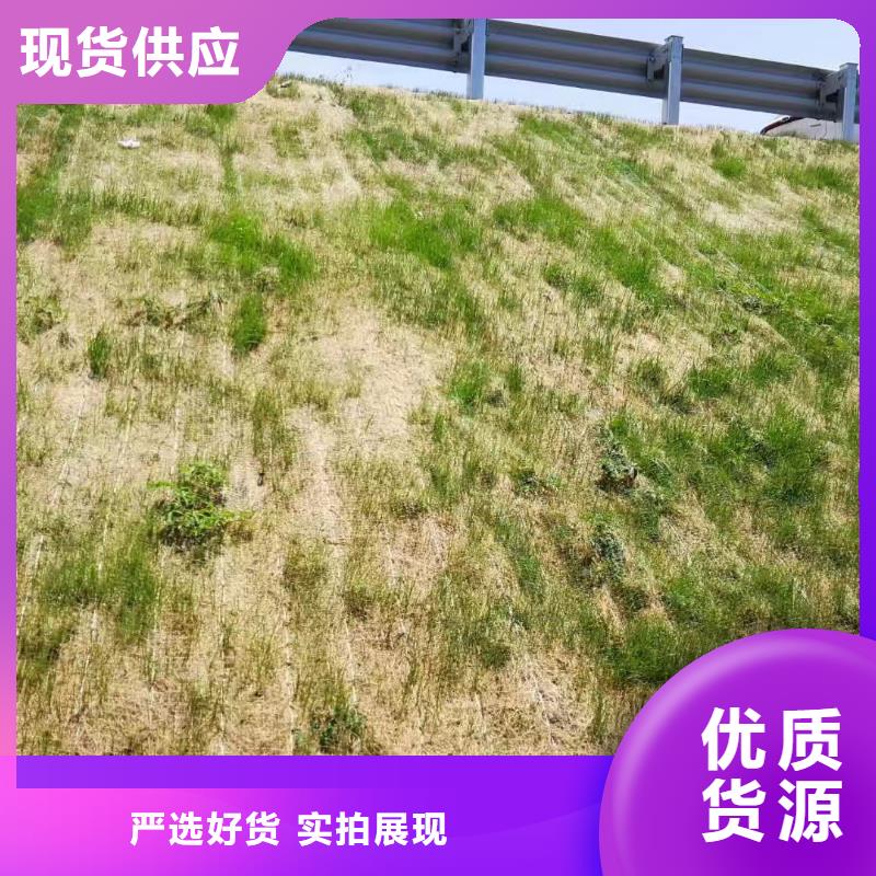 鑫海厚度均匀植物纤维草毯一手货源源厂