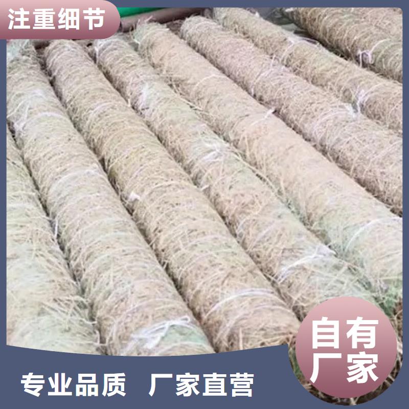 河道治理绿化防护毯厂家直销供货稳定