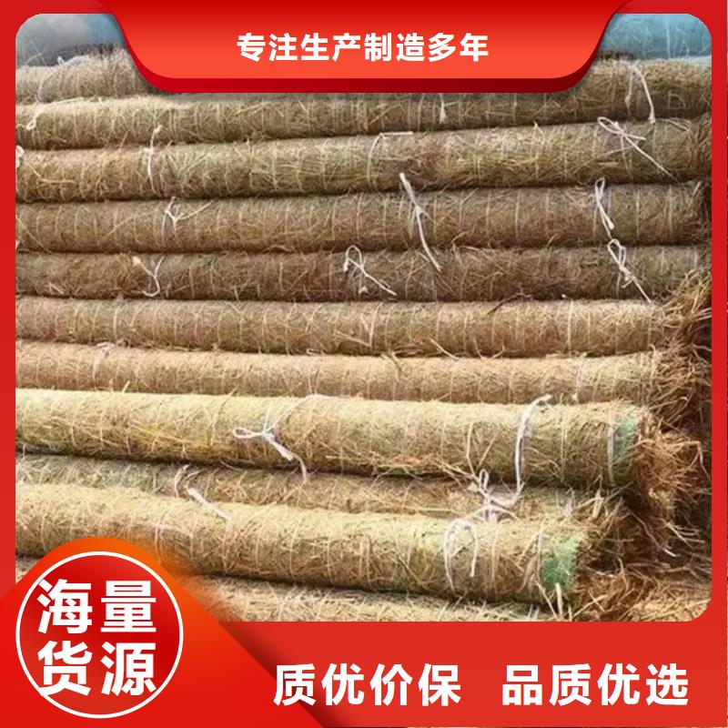 护坡植被植草毯实力厂家