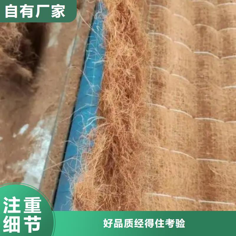 抗冲植生毯工厂