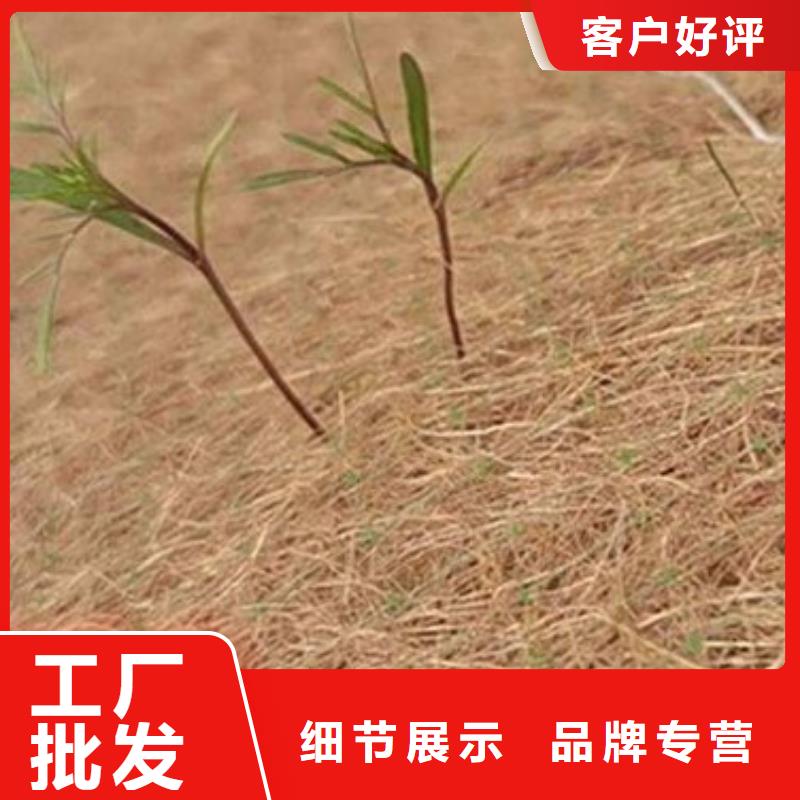 麻网植物纤维毯好厂家有担当