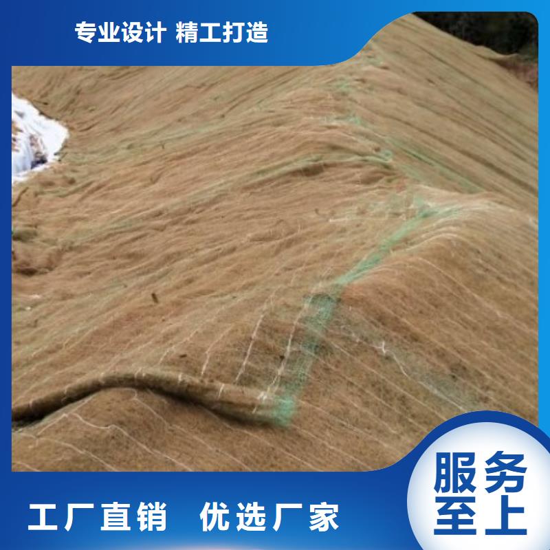 鑫海荒漠治理植被固土椰丝毯今日新品现货直发植物复合固土护坡绿化毯