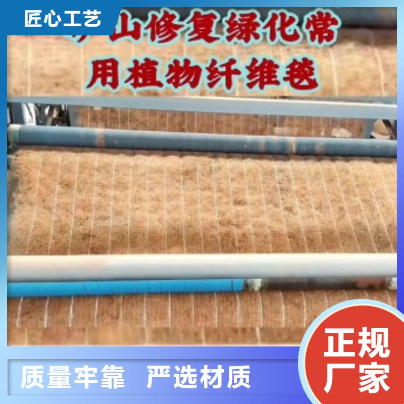 鑫海纤维植物毯用心做产品源头厂商