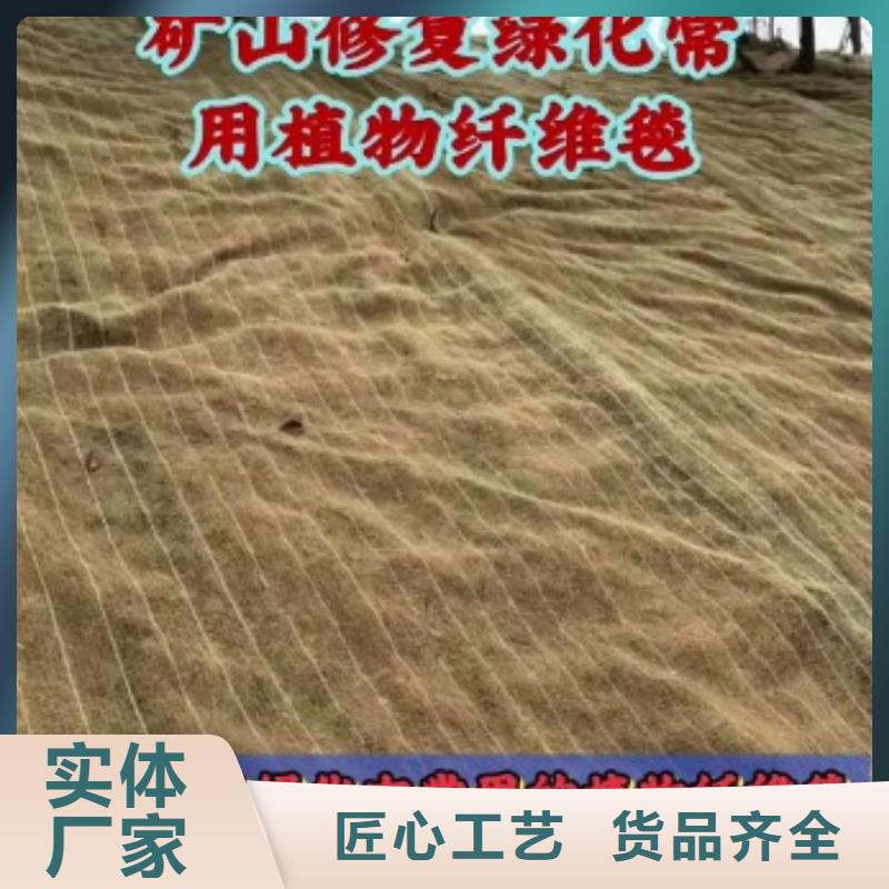 河道治理绿化防护毯厂家直销供货稳定