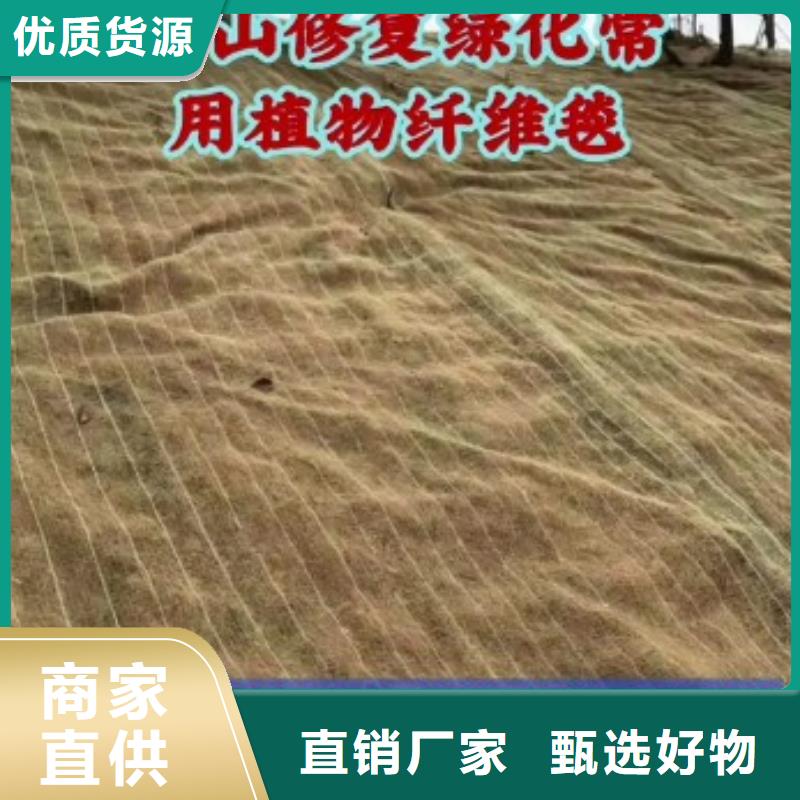 荒漠治理植被固土椰丝毯实力厂家