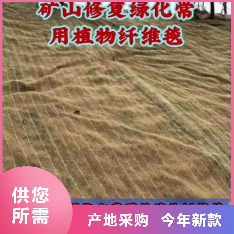 鑫海纤维植物毯用心做产品源头厂商