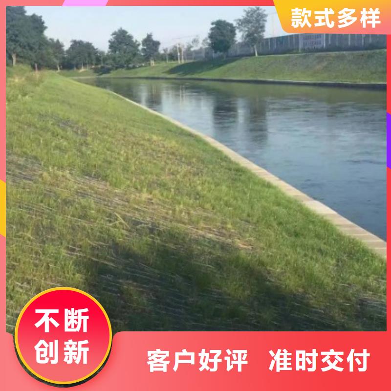鑫海山体护坡抗冲生物毯精品选购海量现货可降解绿化护坡毯