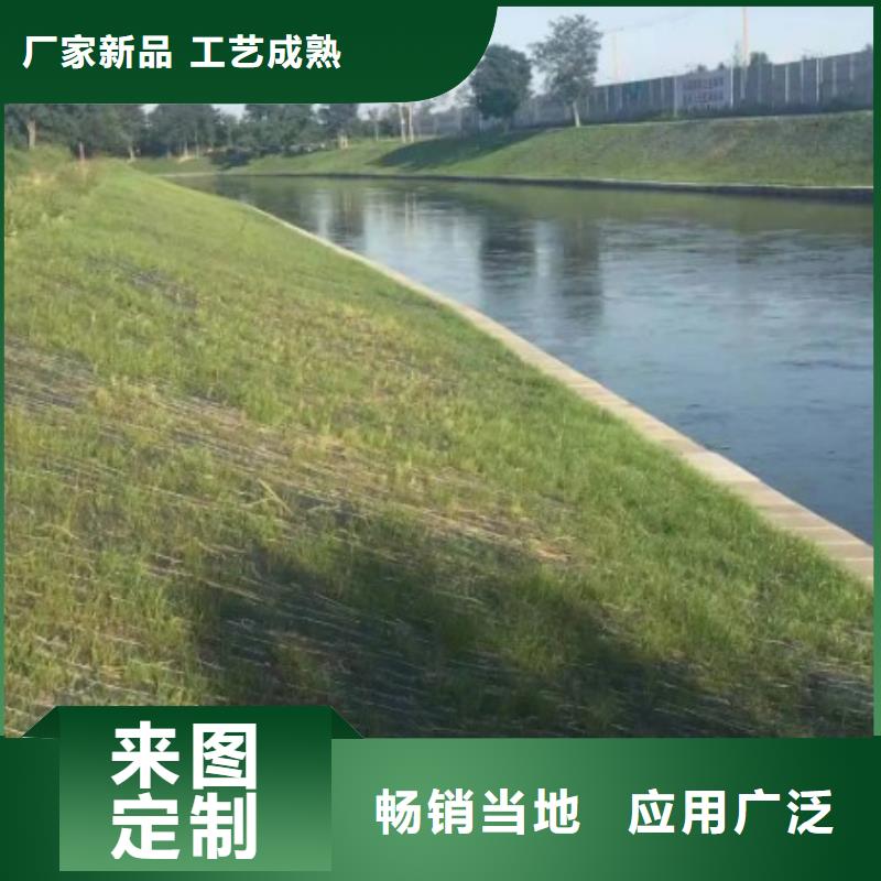 鑫海纤维植物毯用心做产品源头厂商