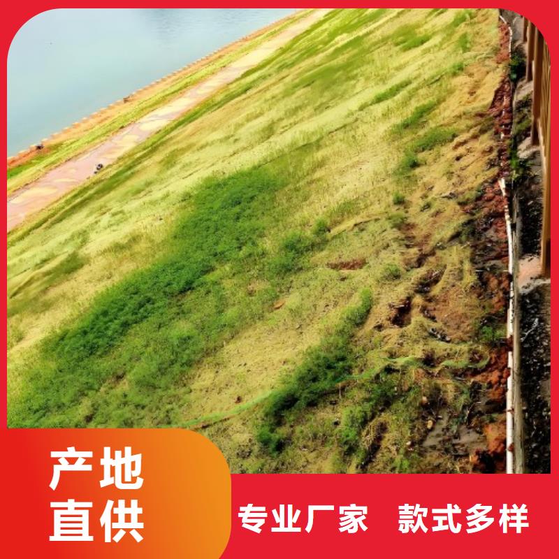 鑫海纤维植物毯用心做产品源头厂商