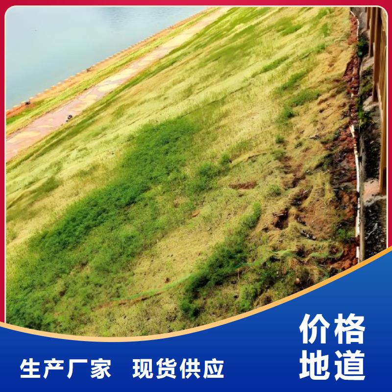 鑫海河道植物纤维毯用心做产品品牌专营