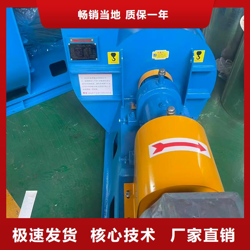 D100-71-1.6三叶罗茨鼓风机现货采购(有保障!2025已更新)临沂鼓风机