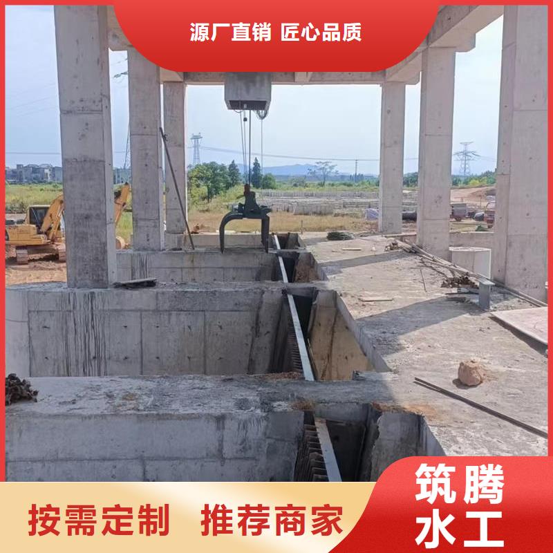 循环式齿耙清污机欢迎新老客户垂询