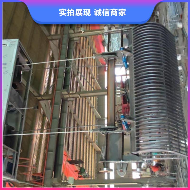 耙斗式清污机厂家自营