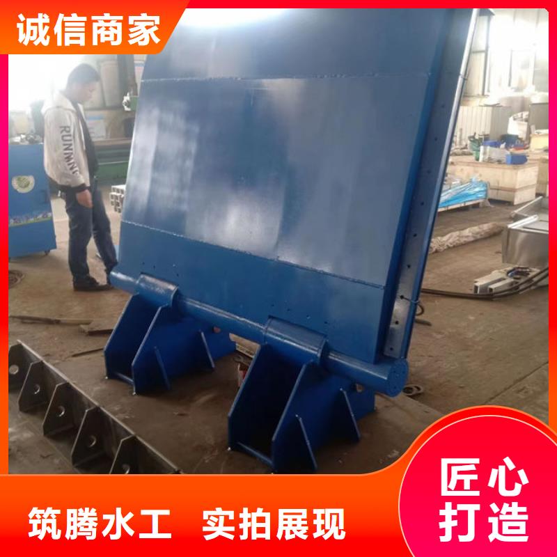 液压式翻板闸门产地直供