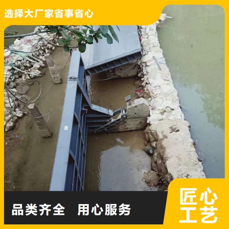 液压合页坝厂家型号齐全