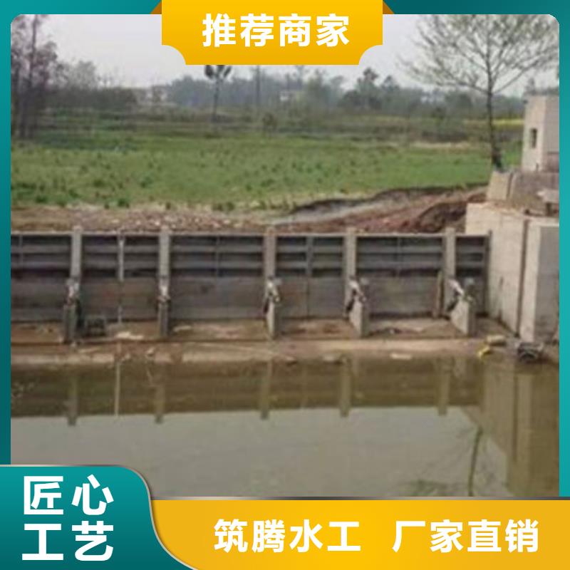液压合页坝厂家直营