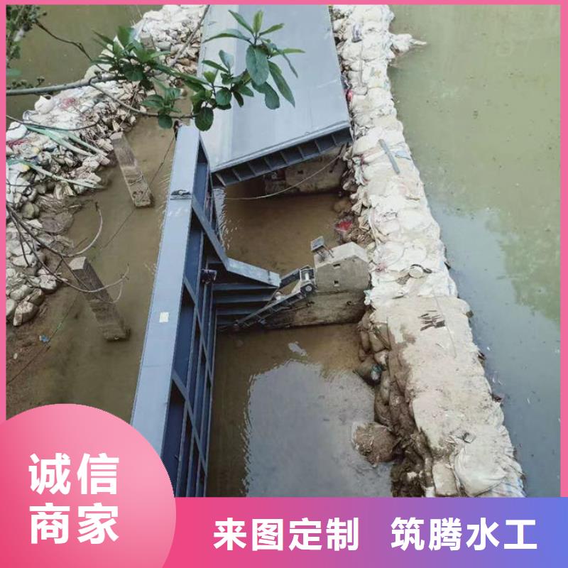 液压式翻板闸门规格齐全实力厂家