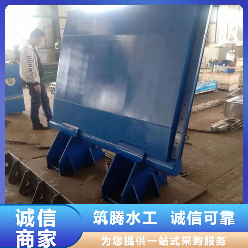 钢坝闸门厂家货源