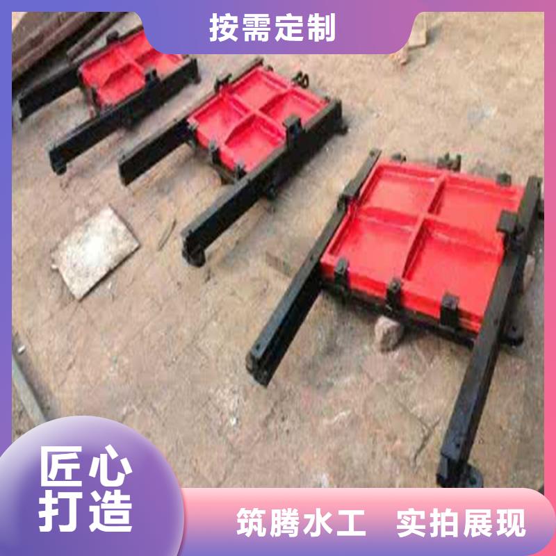 平板铸铁闸门用心经营