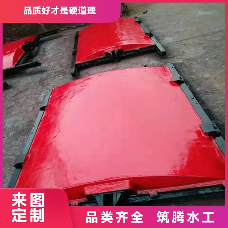 雨污分流闸门型号齐全