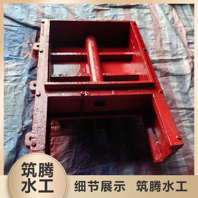 铸铁镶铜闸门诚信为本