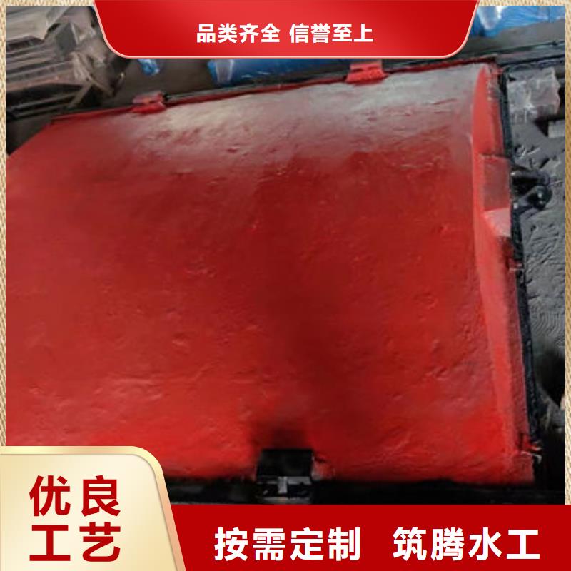 平板铸铁闸门用心经营