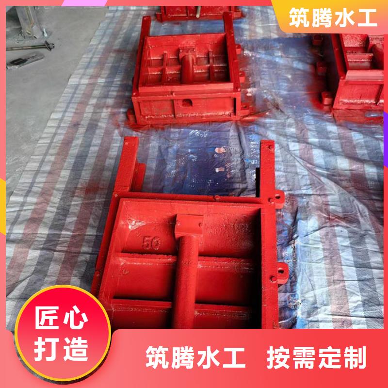 机门一体闸门型号齐全