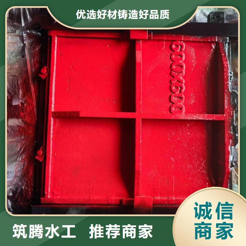双向镶铜铸铁闸门真诚合作