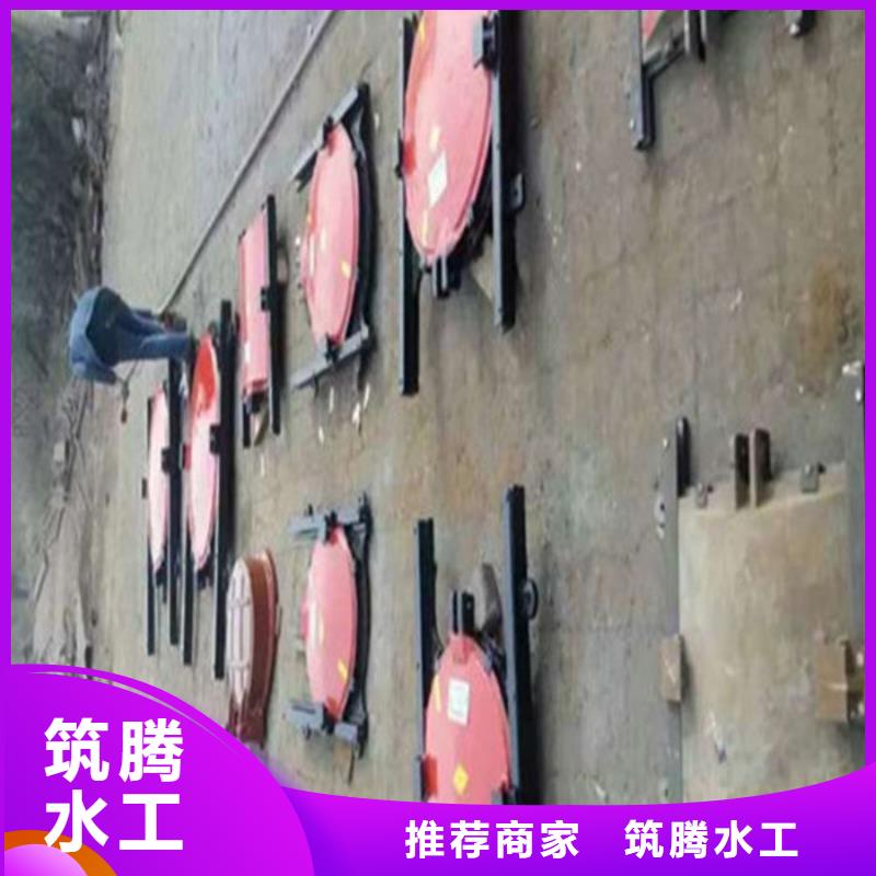 机门一体闸门型号齐全