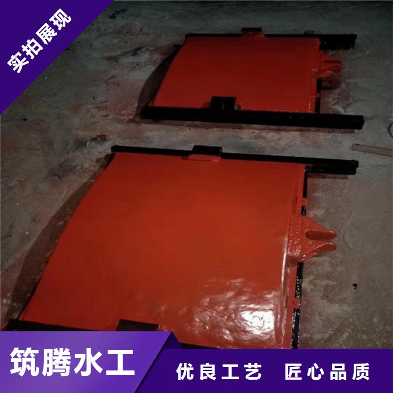 附壁式铸铁闸门真诚合作