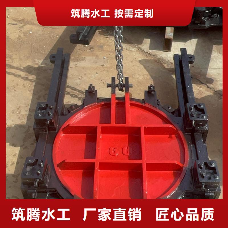 双向镶铜铸铁闸门真诚合作