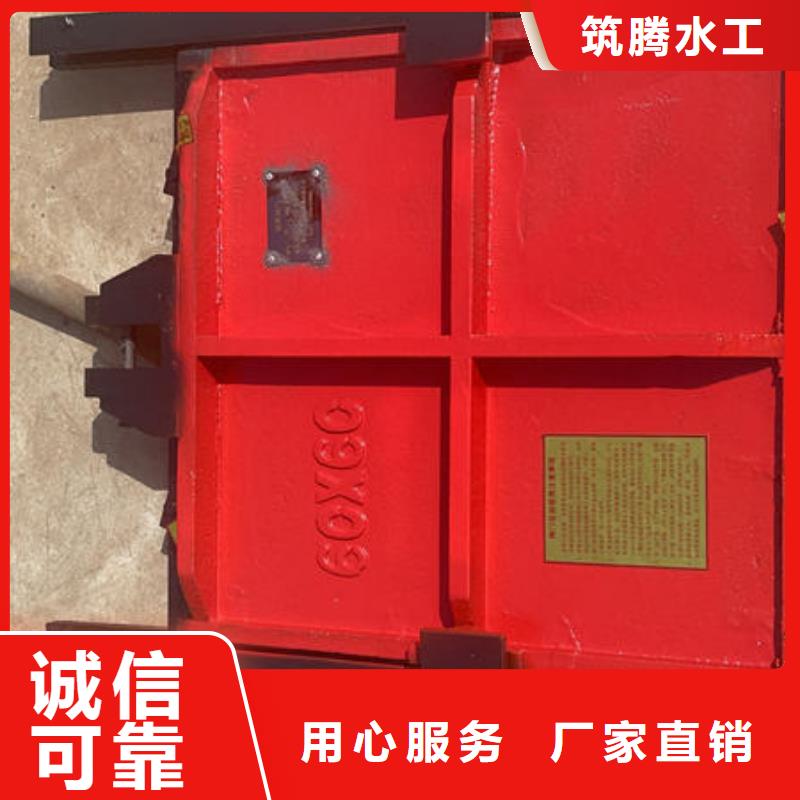 机闸一体式闸门一站式采购方便省心