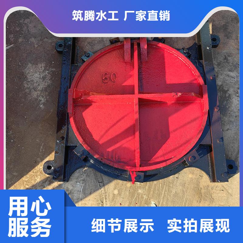 平面铸铁闸门诚信为本