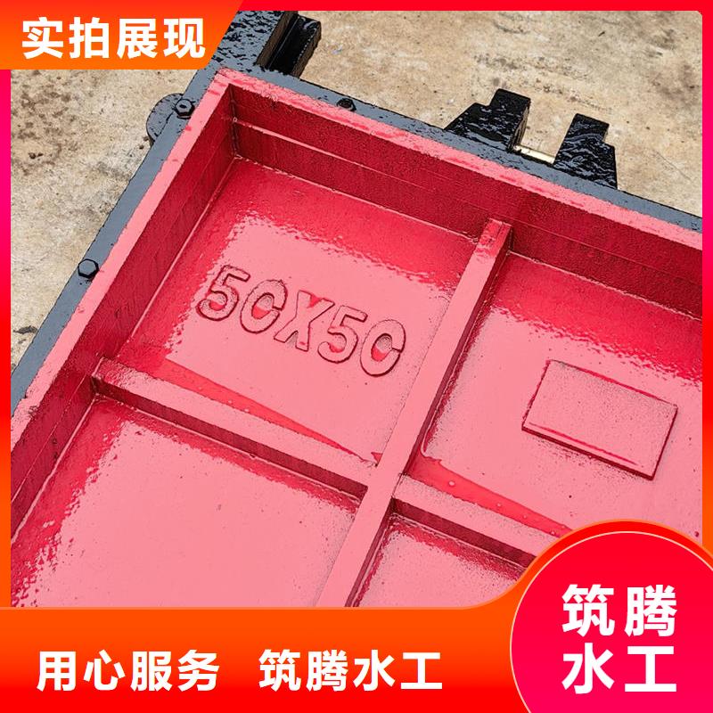 平面铸铁闸门诚信为本