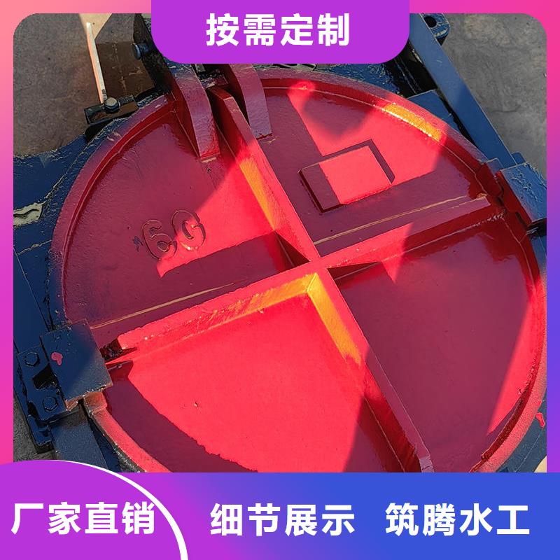 机闸一体式闸门一站式采购方便省心