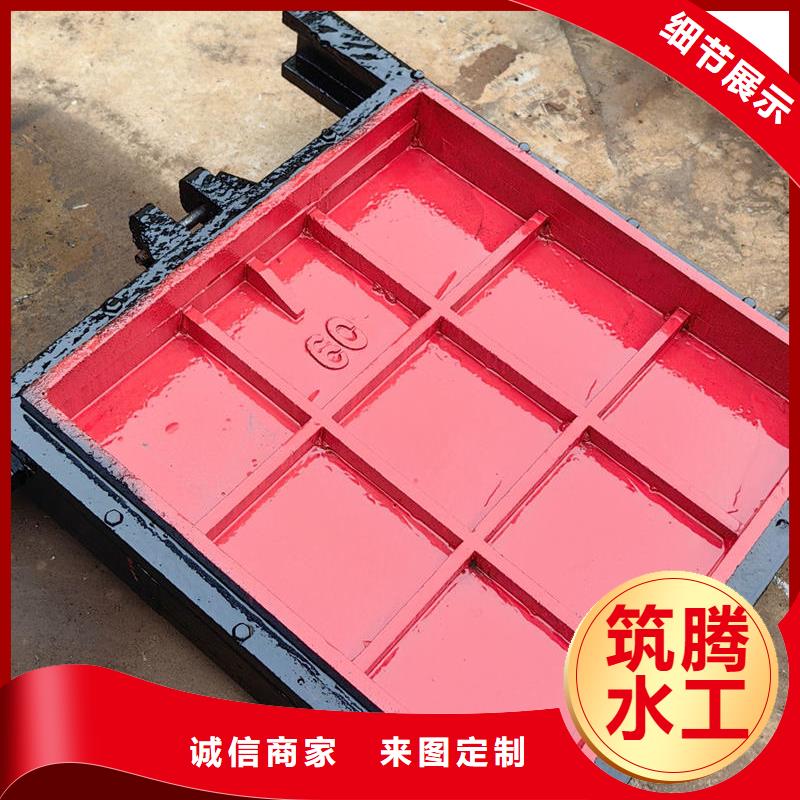 机闸一体式闸门一站式采购方便省心