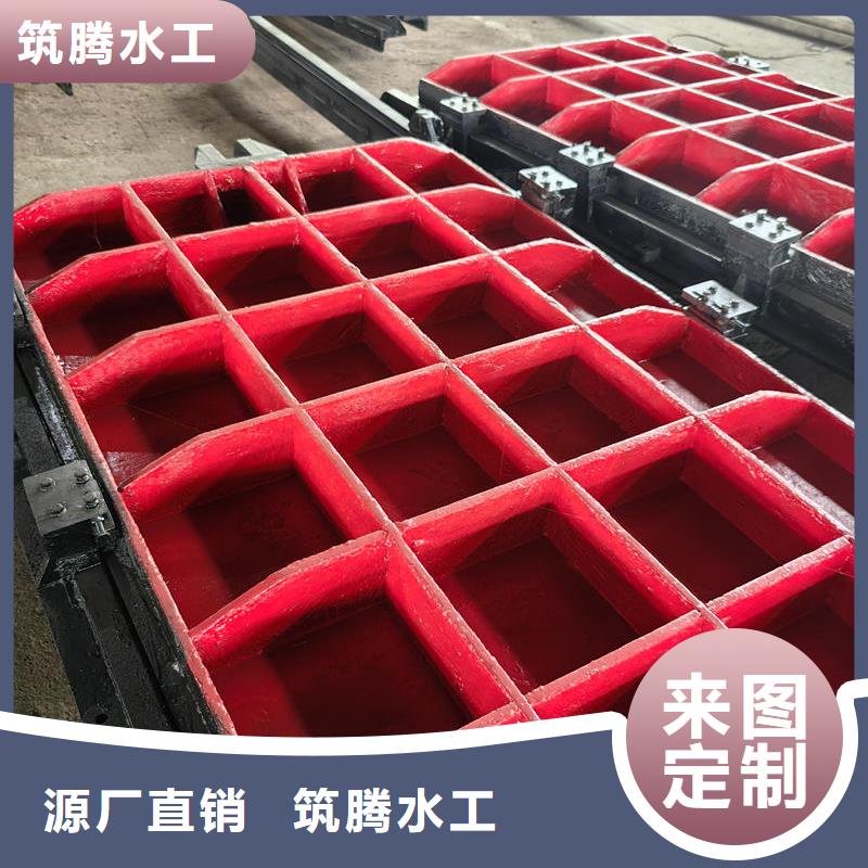 双向镶铜铸铁闸门真诚合作