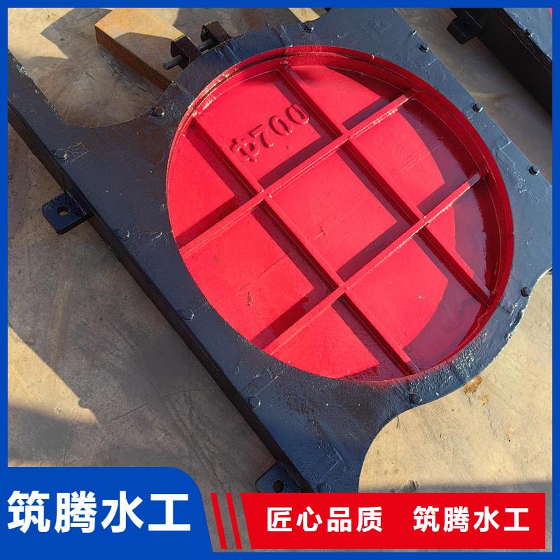 单向铸铁闸门厂家案例