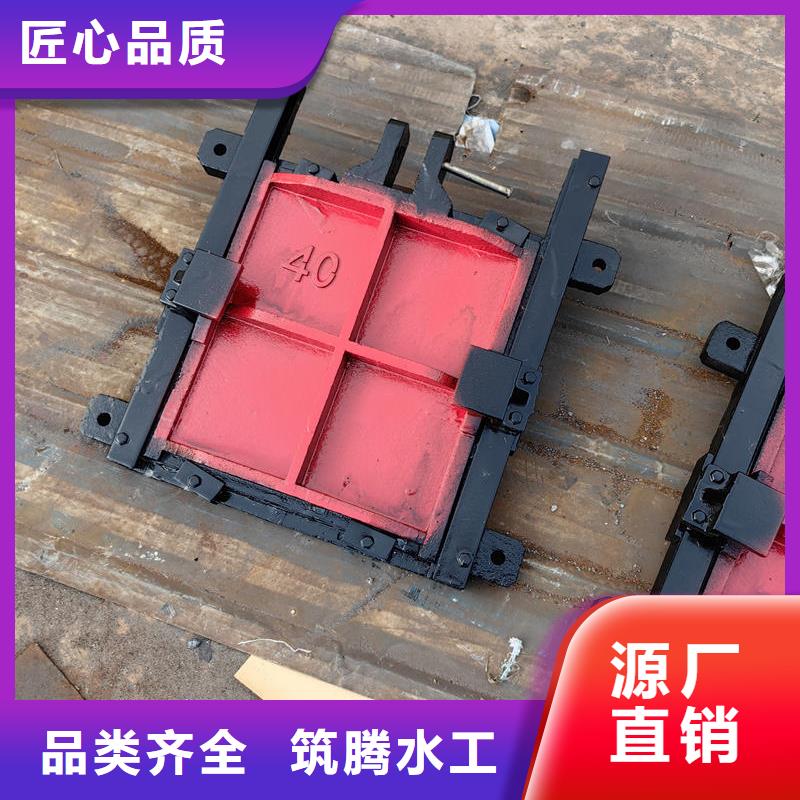 机闸一体式闸门一站式采购方便省心