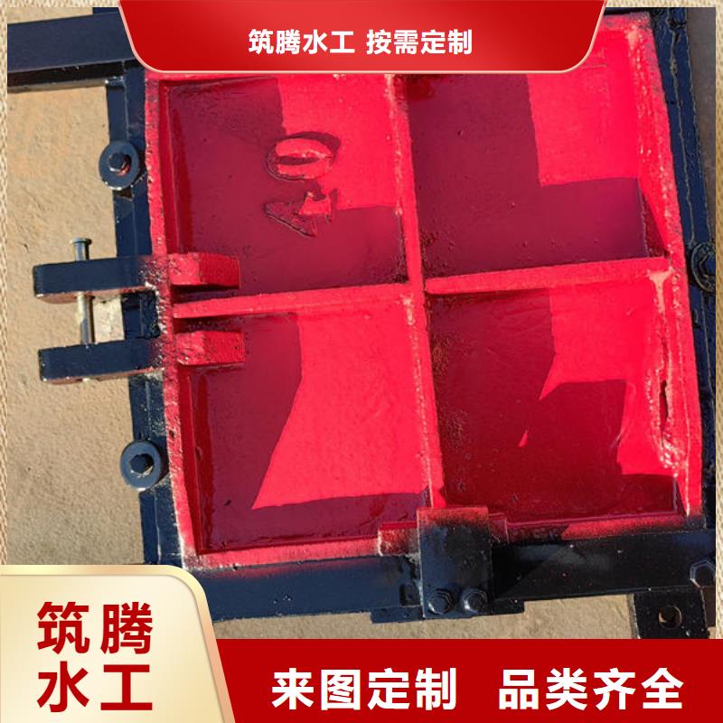 拱形铸铁闸门我们更专业