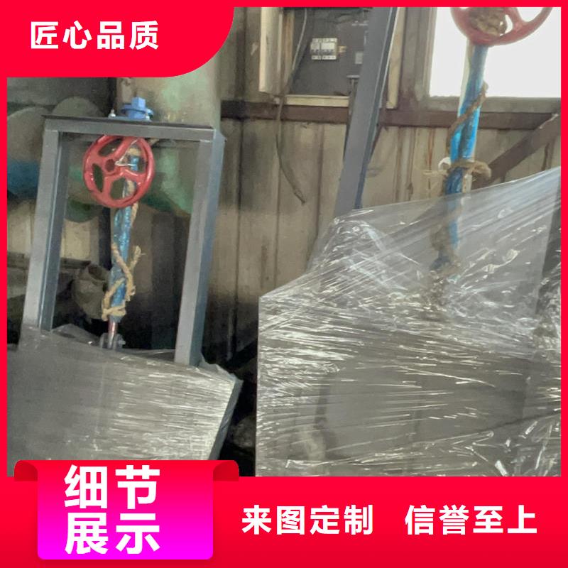 钢闸门-进水口检修闸门N年专注