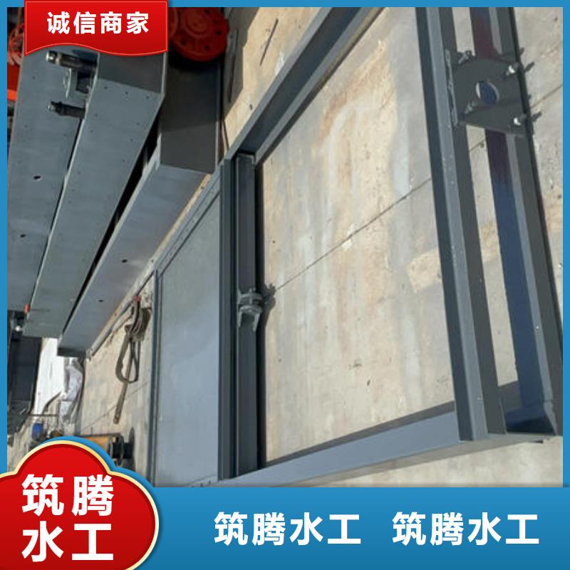 钢闸门-进水口检修闸门N年专注