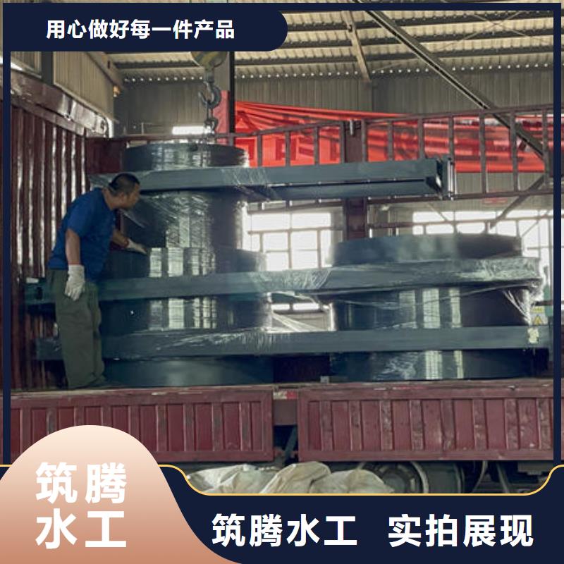 钢闸门-进水口检修闸门N年专注