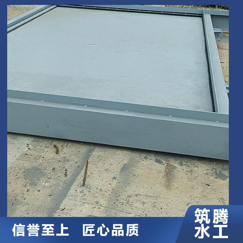 钢闸门-进水口检修闸门N年专注