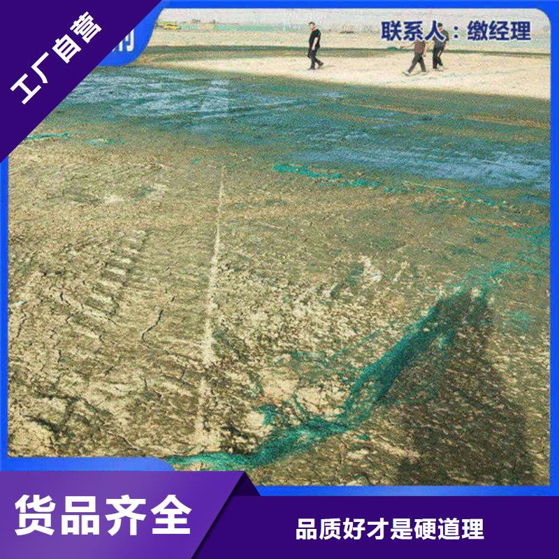 道路生物型降尘剂厂家